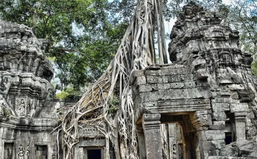 Ta Phrom, Siem Reap, Cambodge