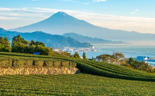 Vue d'ensemble du mont Fuji à Nihondaira, Shizuoka, Japon