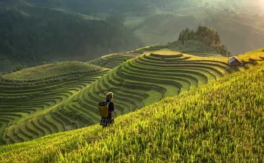 Mu cang chai de la ville, Yenbai, Vietnam