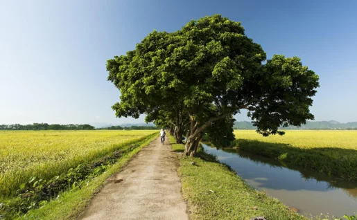 Quang Ninh, Province de Ninh Binh, Vietnam