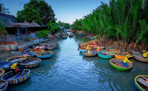 Mangrove, Hoi An, Vietnam