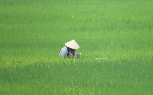 Lai Chau, Vietnam