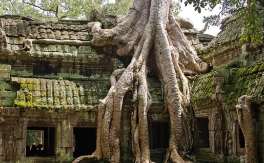Ta Phrom, Siem Reap, Cambodge