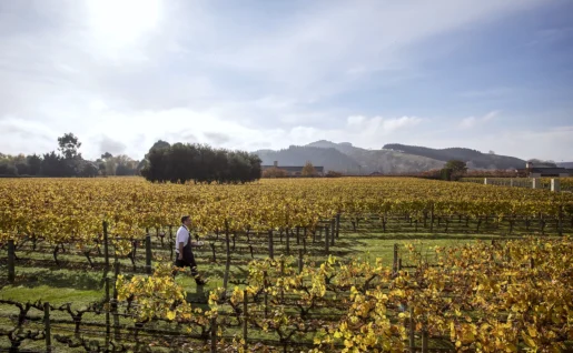 Hawkes Bay