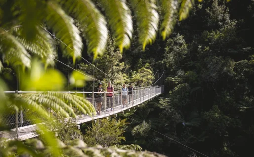 Wilson’s Walk, Parc national d'Abel Tasman