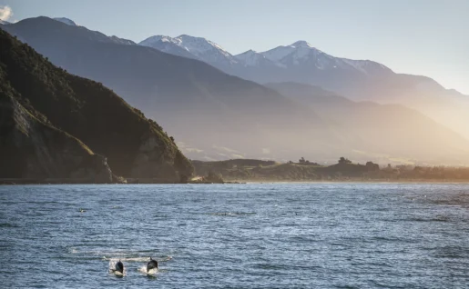 Kaikoura