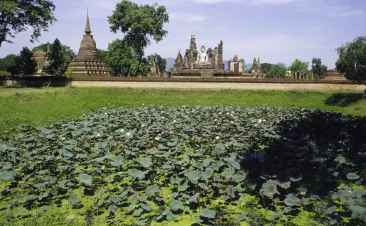 Wat Mahathat, Sukhothai, Thaïlande