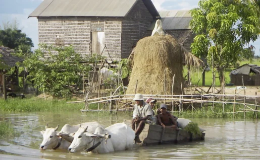 La campagne cambodgienne, Siem Reap, Cambodge