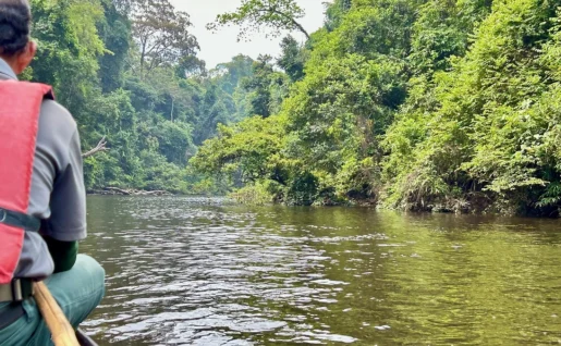 Mutiara Resort, balade en pirogue, Taman Negara, Malaisie