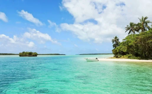Iles des pins