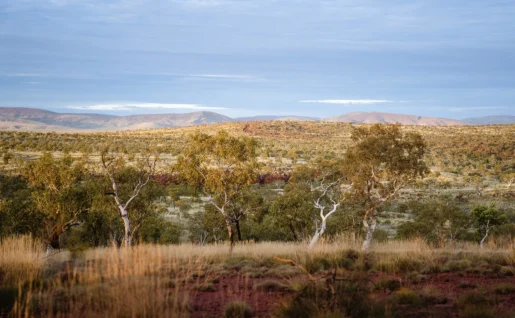 Karijini, Pilbara