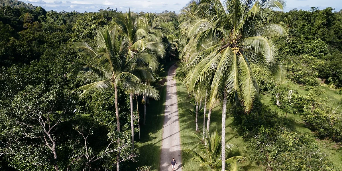 Cape Tribulation, Tropical North Queensland