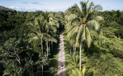 Cape Tribulation, Tropical North Queensland