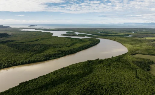 Lower Daintree, Cape Tribulation