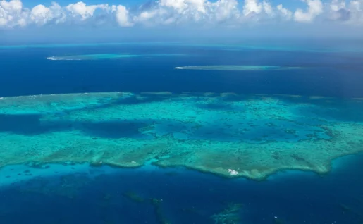 Grande barrière de corail, Great Barrier Reef, Tropical North Queensland