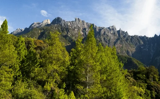 Parc du Mont Kinabalu, Kota Kinabalu, Malaisie
