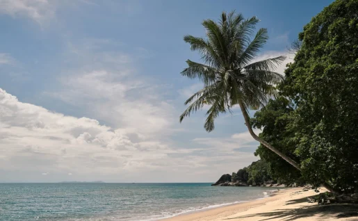 Plage, The Boathouse, Tioman, Malaisie