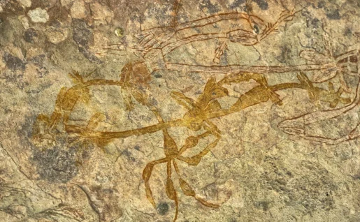 Peinture rupestre, parc national de Kakadu, Territoire du Nord, Australie