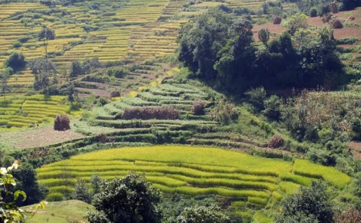 Vallée de Katmandou, Népal