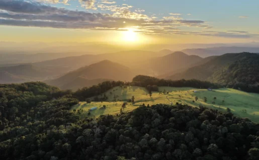 Lamington National Park