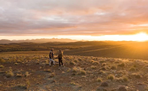 Blinman, FLinders Ranges