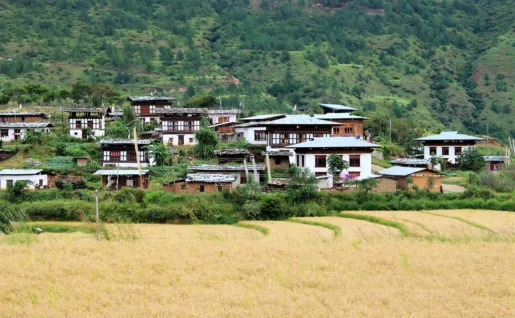 Villages autour de Punakha, Bhoutan