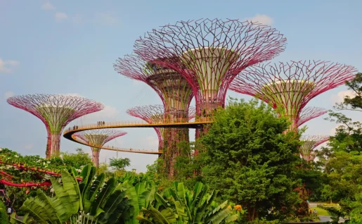 Supertree Grove, Gardens by the Bay, Singapour