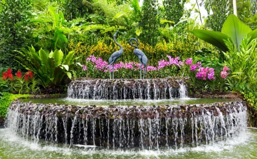 Jardin botanique, Singapour