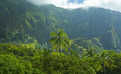 Hiva Oa