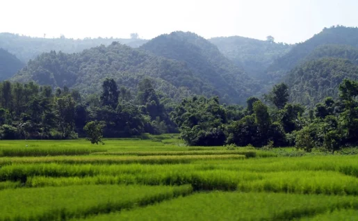 Vallée de Chitwan, Népal