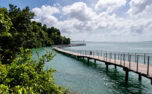 Chek Jawa Broadwalk Jetty, promenade en bois, Île de Pulau Ubin, Singapour