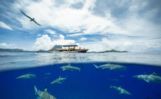 Bora Bora