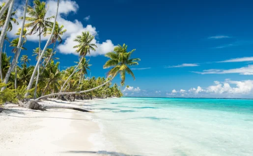 Plage de Fakarava, Polynésie Française