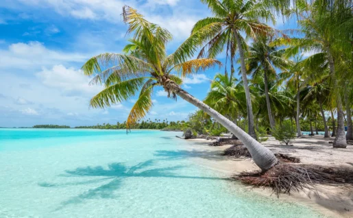 Lagon turquoise clair à Moorea, Polynésie française
