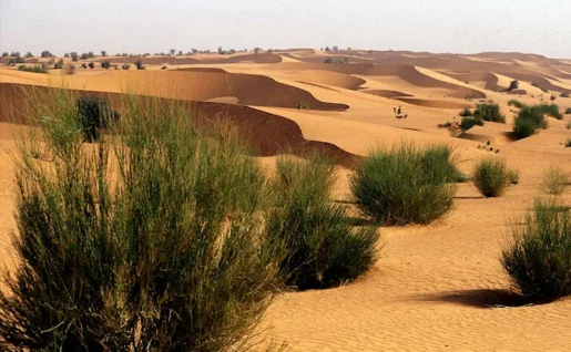 Désert de Lompoul, Sénégal