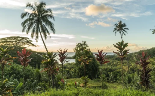 Raiatea