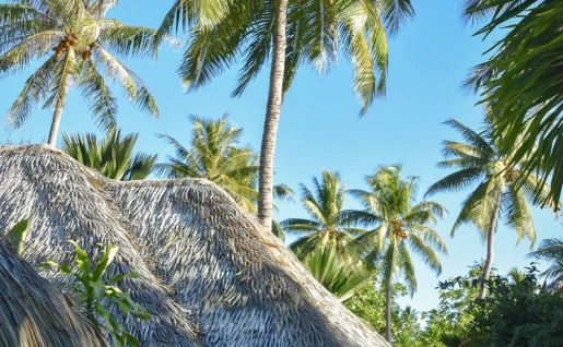 Le Mahana
