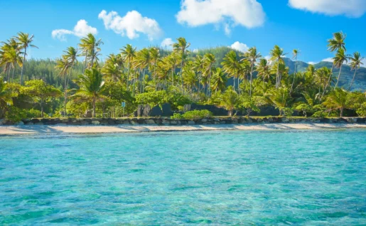 parea,marae anini, Huahine