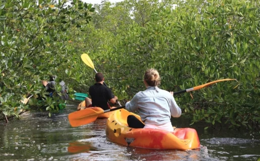 Kayak dans le bolong, Sokone, Sénégal