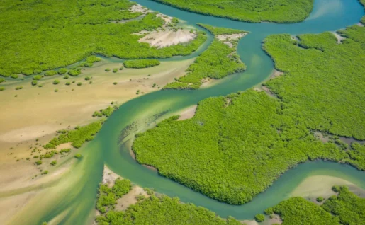 Delta du Saloum, Sénégal