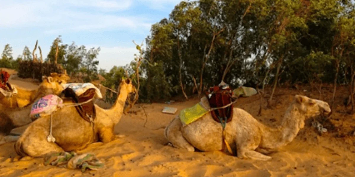 Désert de Lompoul, Sénégal