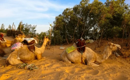 Désert de Lompoul, Sénégal