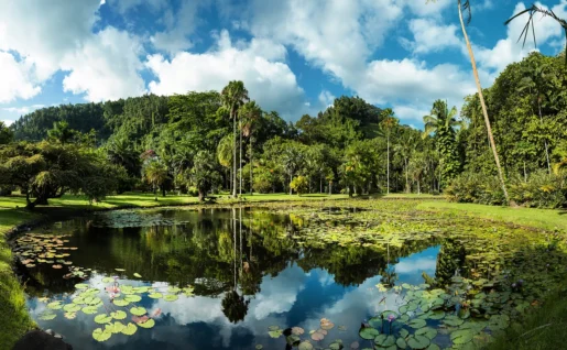 papeari, jardin botanique harrison smith, Tahiti