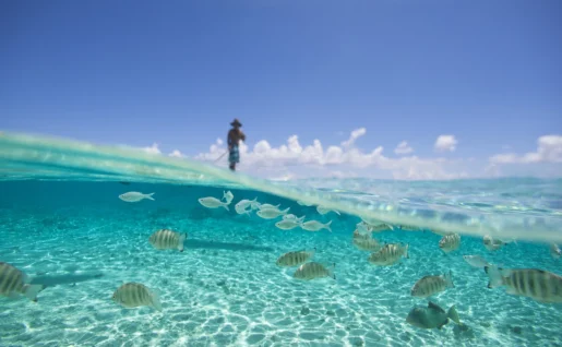 Tikehau