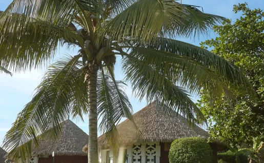 Bungalow, Royam, Saly, Sénégal