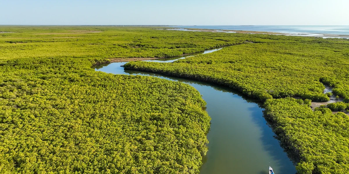 Delta du Saloum, Sénégal