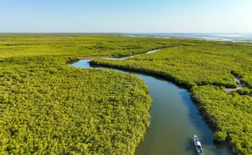 Delta du Saloum, Sénégal