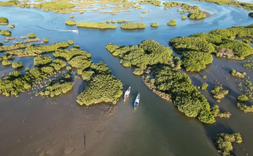 Vue aérienne sur le delta du Saloum, Sénégal