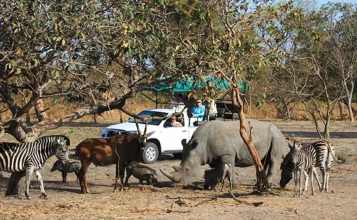 Réserve de Fathala, Sokone, Sénégal