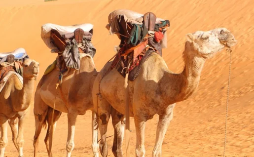 Désert de Lompoul, Sénégal